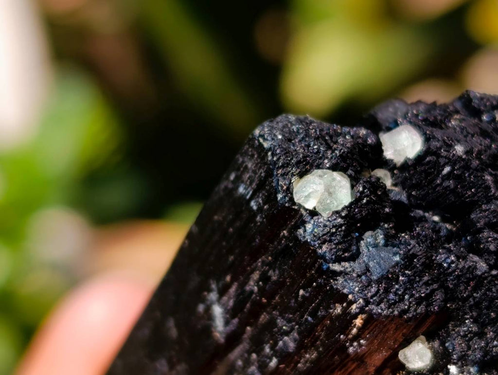 Natural Schorl Black Tourmaline With Smokey Quartz x 6 From Erongo, Namibia