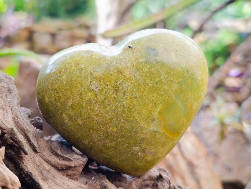 Polished Green Opal Hearts x 6 From Betroka, Madagascar
