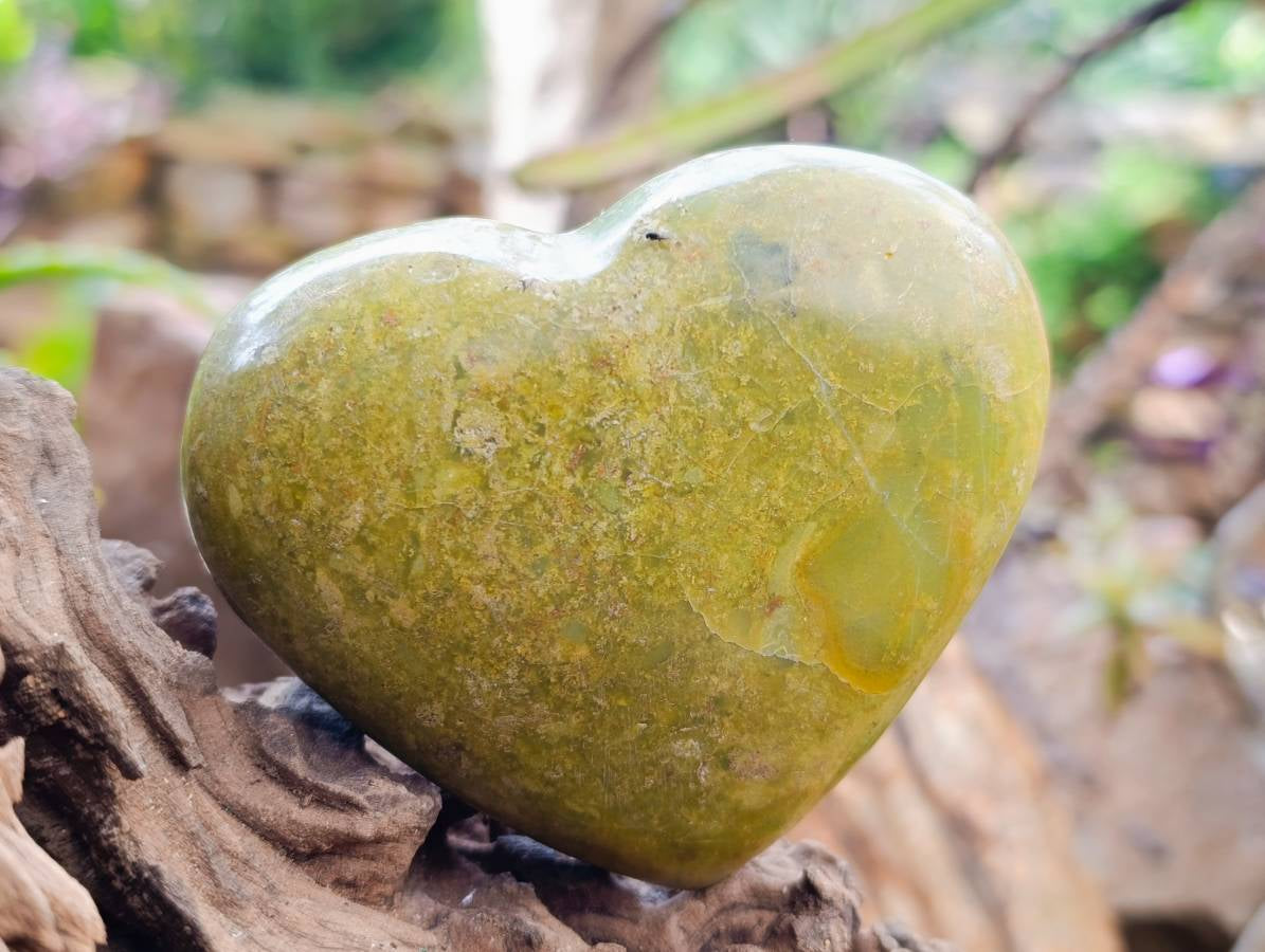 Polished Green Opal Hearts x 6 From Betroka, Madagascar