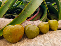 Polished Green Opal Hearts x 6 From Betroka, Madagascar