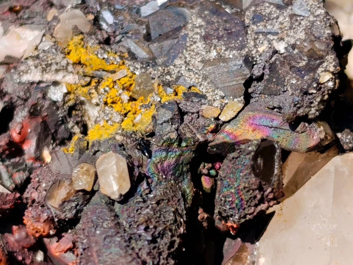 Natural White Quartz And Blacknite Quartz Clusters x 2 From Madagascar