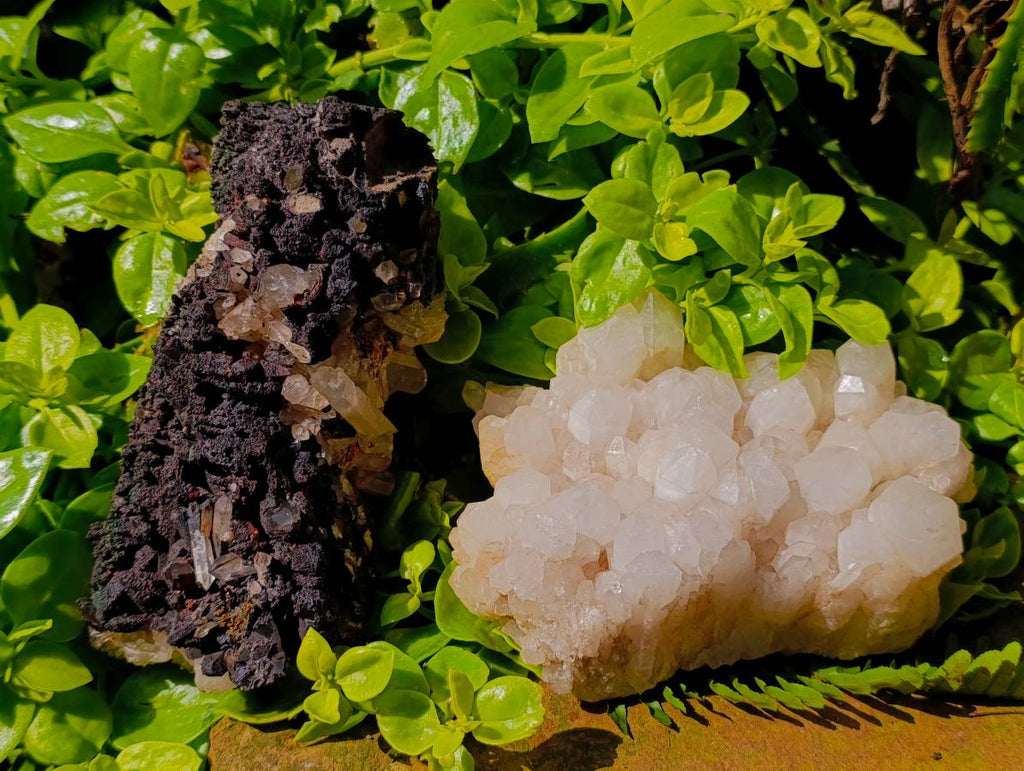 Natural White Quartz And Blacknite Quartz Clusters x 2 From Madagascar