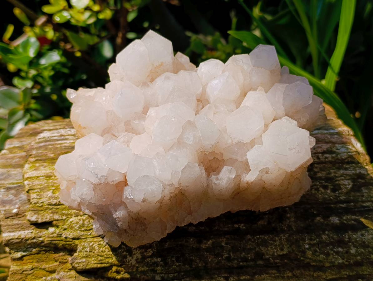 Natural White Quartz And Blacknite Quartz Clusters x 2 From Madagascar