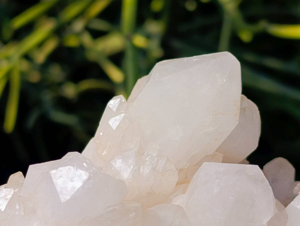 Natural White Quartz And Blacknite Quartz Clusters x 2 From Madagascar
