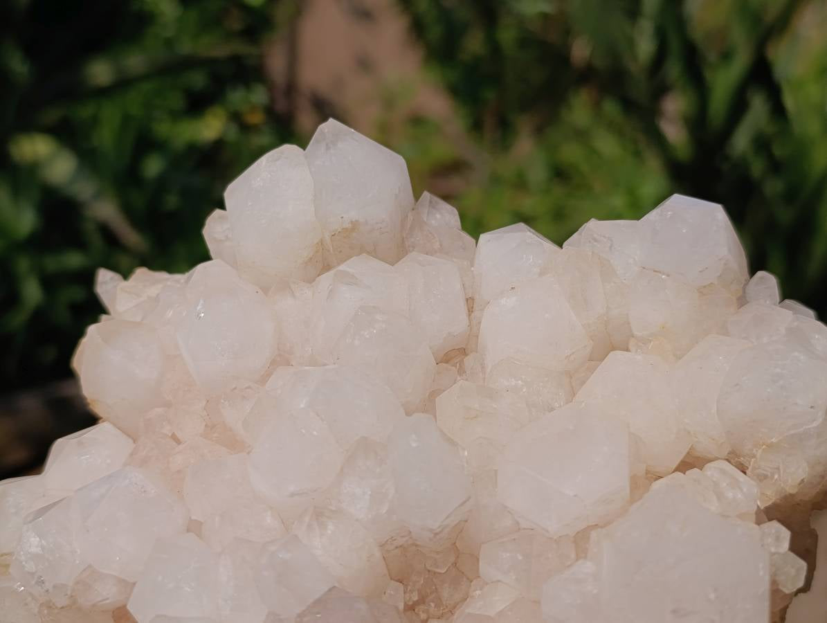 Natural White Quartz And Blacknite Quartz Clusters x 2 From Madagascar