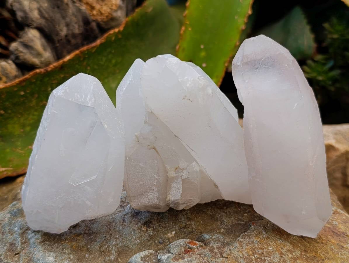 Natural Quartz Crystals x 12 From Madagascar - Toprock Gemstones and Minerals 