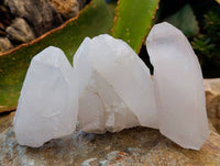 Natural Quartz Crystals x 12 From Madagascar