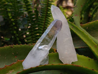 Natural Quartz Crystals x 12 From Madagascar