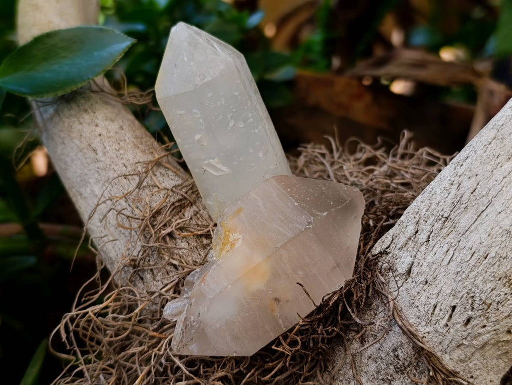 Natural Quartz Crystals x 12 From Madagascar - Toprock Gemstones and Minerals 