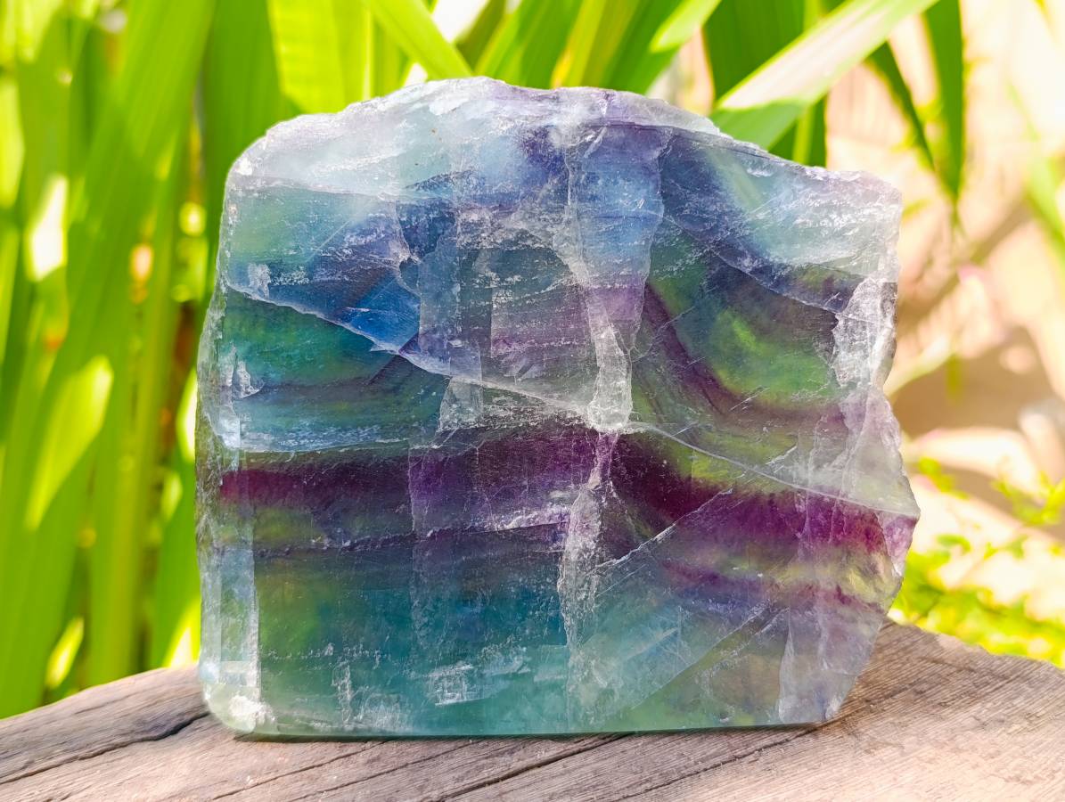 Polished On One Side Watermelon Fluorite Slices x 3 From Uis, Namibia