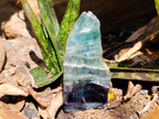 Polished On One Side Watermelon Fluorite Slices x 3 From Uis, Namibia