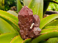 Natural Red Hematoid Quartz Clusters x 5 From Karoi, Zimbabwe