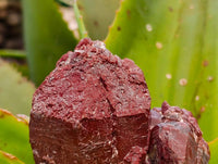 Natural Red Hematoid Quartz Clusters x 5 From Karoi, Zimbabwe