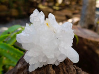 Natural Flower Quartz Clusters x 17 From Brandberg, Namibia