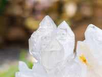 Natural Flower Quartz Clusters x 17 From Brandberg, Namibia
