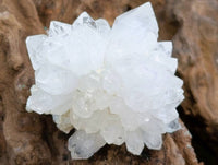 Natural Flower Quartz Clusters x 17 From Brandberg, Namibia