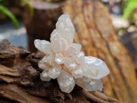 Natural Flower Quartz Clusters x 17 From Brandberg, Namibia