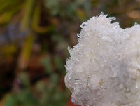 Natural Flower Quartz Clusters x 17 From Brandberg, Namibia