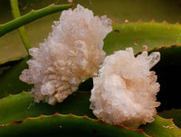 Natural Flower Quartz Clusters x 17 From Brandberg, Namibia