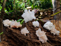 Natural Flower Quartz Clusters x 17 From Brandberg, Namibia