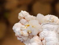 Natural Flower Quartz Clusters x 17 From Brandberg, Namibia