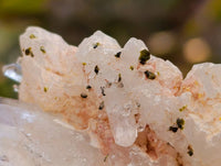 Natural Flower Quartz Clusters x 17 From Brandberg, Namibia