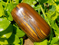Polished Golden Tiger's Eye Tumbled Free Forms x 3 From Prieska, South Africa