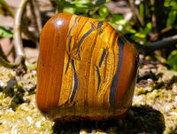 Polished Golden Tiger's Eye Tumbled Free Forms x 3 From Prieska, South Africa