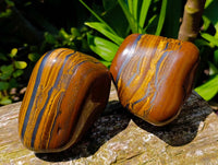 Polished Golden Tiger's Eye Tumbled Free Forms x 3 From Prieska, South Africa