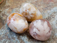 Polished Flower Agate Free Forms x 70 From Antsahalova, Madagascar