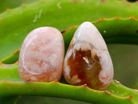 Polished Flower Agate Free Forms x 70 From Antsahalova, Madagascar