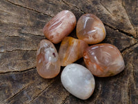 Polished Flower Agate Free Forms x 70 From Antsahalova, Madagascar