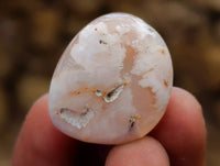 Polished Flower Agate Free Forms x 70 From Antsahalova, Madagascar