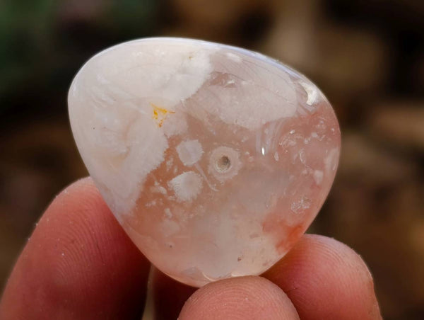 Polished Flower Agate Free Forms x 70 From Antsahalova, Madagascar