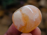 Polished Flower Agate Free Forms x 70 From Antsahalova, Madagascar
