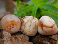 Polished Flower Agate Free Forms x 70 From Antsahalova, Madagascar
