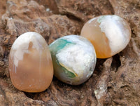 Polished Flower Agate Free Forms x 70 From Antsahalova, Madagascar