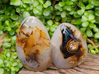 Polished Dendritic Agate Standing Free Forms x 2 From Moralambo, Madagascar