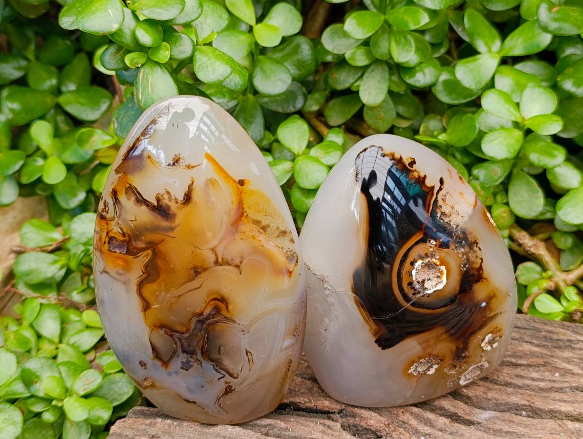 Polished Dendritic Agate Standing Free Forms x 2 From Moralambo, Madagascar