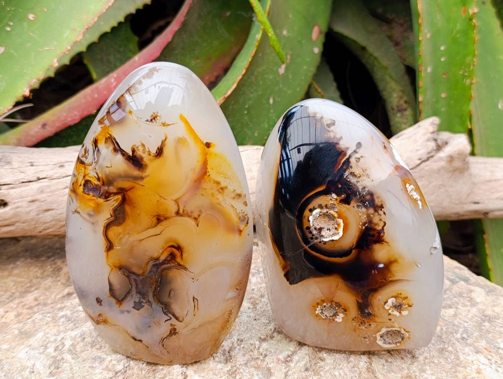 Polished Dendritic Agate Standing Free Forms x 2 From Moralambo, Madagascar