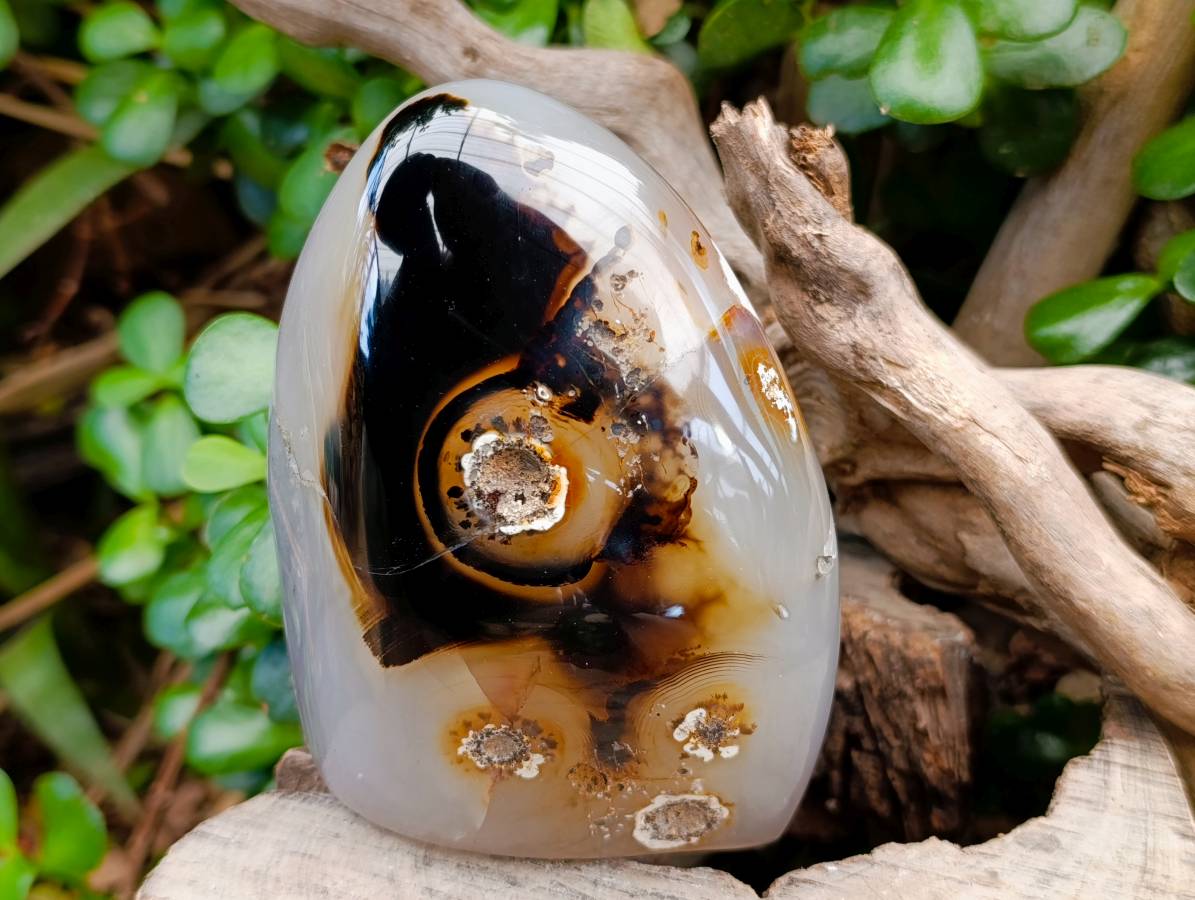 Polished Dendritic Agate Standing Free Forms x 2 From Moralambo, Madagascar