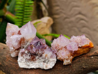 Natural Amethyst Spirit Clusters x 14 From Boekenhouthoek, South Africa
