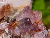 Natural Amethyst Spirit Clusters x 14 From Boekenhouthoek, South Africa