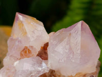 Natural Amethyst Spirit Clusters x 14 From Boekenhouthoek, South Africa
