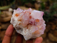 Natural Amethyst Spirit Clusters x 14 From Boekenhouthoek, South Africa