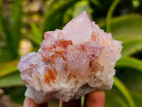 Natural Amethyst Spirit Clusters x 14 From Boekenhouthoek, South Africa