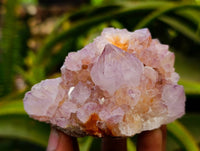 Natural Amethyst Spirit Clusters x 14 From Boekenhouthoek, South Africa