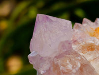 Natural Amethyst Spirit Clusters x 14 From Boekenhouthoek, South Africa
