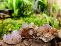 Natural Amethyst Spirit Clusters x 14 From Boekenhouthoek, South Africa