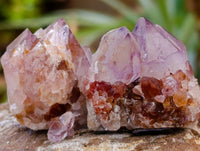 Natural Amethyst Spirit Clusters x 14 From Boekenhouthoek, South Africa